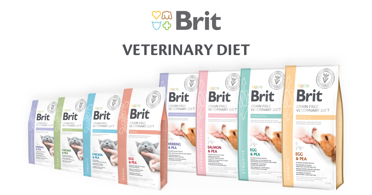 Dietă veterinară fără grâne – Brit